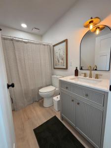 a bathroom with a toilet and a sink and a mirror at Luxury BoilingSprings Getaway in Boiling Springs +20 photos