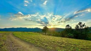 a dirt road in a field with the sunset in the background at BLa Coconut House in Bảo Lâm
