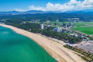 an aerial view of a beach and the ocean at Gangneung Atirance Pool Villa & Spa Pension in Gangneung