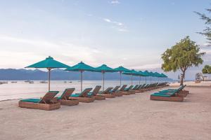 a row of chairs and umbrellas on a beach at Vila Ombak in Gili Trawangan