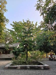 Billede fra billedgalleriet på Van Vagdo Prakruti Nivas i Sāsan Gīr + 23 billeder