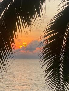 a sunset over the ocean with a palm tree at 4U Resort Samui in Lamai