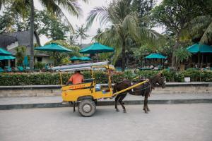 a horse pulling a yellow cart with a man at Vila Ombak in Gili Trawangan