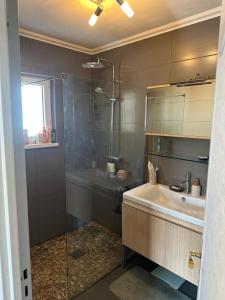 a bathroom with a shower and a sink and a tub at Maison 5 personnes in Lutterbach