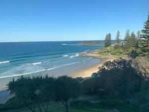 a view of a beach with trees and the ocean at Lakeview Yamba River Side Waters in Yamba