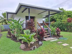 a house with a bunch of plants in the yard at Papeari sea side 1 Logement neuf en bord de mer in Otutara +11 photos