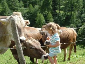 Zwierzęta w gospodarstwie agroturystycznym lub w pobliżu