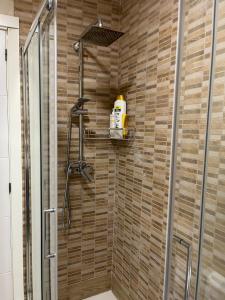 a bathroom with a shower with a glass door at EL PISET in La Pineda