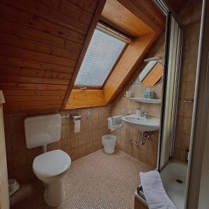 a bathroom with a toilet and a sink and a window at Hotel Milú in Ludwigsburg