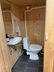 a bathroom with a toilet and a sink at Låven på Selsvoll in Seljord +17 photos