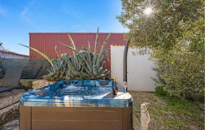 a hot tub in a yard with a plant at 2 Bedroom Nice Home In Jezera in Jezera