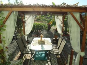 A garden outside Summer Lovin