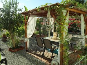 A garden outside Summer Lovin