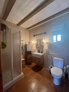 a bathroom with a toilet and a shower and a sink at Casa Rural Exedra 3 Estrellas in Carcaboso +52 photos