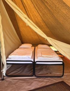 Voodi või voodid majutusasutuse Camping Fuussekaul toas