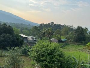 a group of houses on a hill with trees at Hà Giang Homestay in Lan Hung +13 photos
