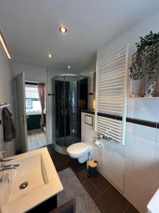 a bathroom with a toilet and a sink and a shower at Burgblick am Malerweg in Hohnstein +11 photos