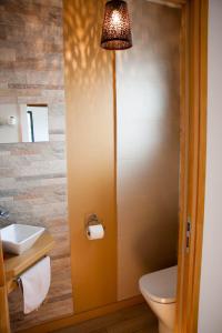 a bathroom with a toilet and a sink and a light at Chez Aurelie in Saint-Alban