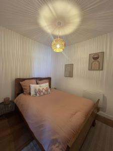 a bedroom with a large bed with a ceiling at Appartement Centre ville in Vierzon