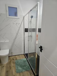 a bathroom with a toilet and a glass shower at Apartamento Teror Encantado in Teror