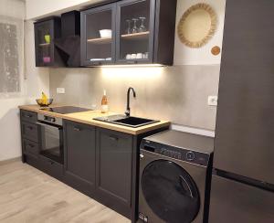Kuchyň nebo kuchyňský kout v ubytování Silvermoon Apartment