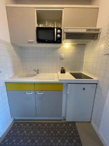 eine kleine Küche mit Spüle und Mikrowelle in der Unterkunft El pisito Quimperois duplex 2 chambres coeur de ville in Quimper + 37 Fotos