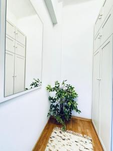 Fotografie z fotogalerie ubytování Modern 2BR Stay for 5 Prime Location v destinaci Klosterneuburg