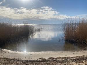a body of water with some grass and the sun at Auszeit am Haffufer in Wilhelmshof