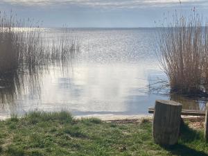 a bench sitting next to a body of water at Auszeit am Haffufer in Wilhelmshof