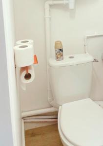 a bathroom with a toilet and a roll of toilet paper at Le Lodge in Fougères +7 photos