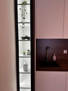 Η κουζίνα ή μικρή κουζίνα στο Home Away from Home