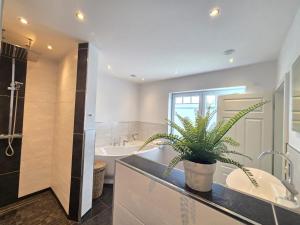 a bathroom with a plant sitting on a counter at Ferienhaus Uttied in Berumbur +19 photos