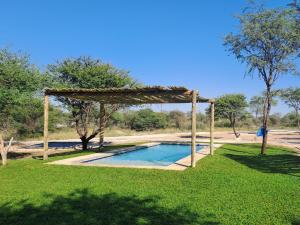 GhanziにあるGhanzi Travel and Accommodationの芝生のフィールドにあるプール付きのパーゴラ