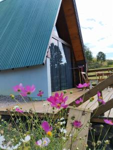 a cabin with pink flowers in front of it at Rancho dos lagos in Campo Alegre