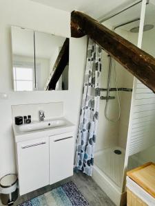 une salle de bain avec un lavabo et une douche dans l'établissement Dalikyda - La Perle de Montivilliers, à Montivilliers 16 autres photos