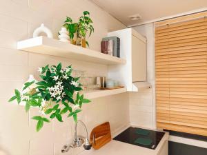 a kitchen with a sink and a plant on the wall at Atelier PADO 102 in Busan