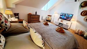 TV a/nebo společenská místnost v ubytování COSY CHAMBRE-SUITE climatisée