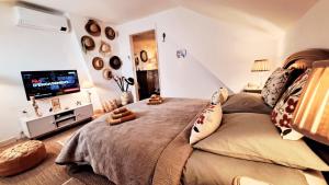 TV a/nebo společenská místnost v ubytování COSY CHAMBRE-SUITE climatisée