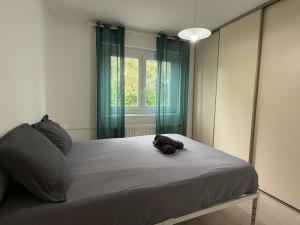 a bedroom with a bed with a pillow and a window at M057 Joli T3 proche de la frontière in Annemasse