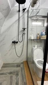 a shower in a bathroom with a toilet at В гостях у Лексо in Mukhatgverdi