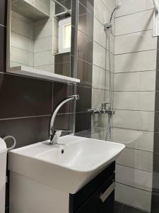 a bathroom with a sink and a shower at Apartmani Braća Kovačević in Foča +95 photos