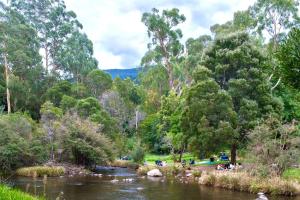 沃伯顿The Tolpuddle Cottage的一群人坐在河边的草上 更多48张照片