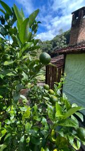 Giardino di Vale do Piemonte - Chalé com hidromassagem -