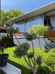 a garden with trees and a bench in front of a house at La Veranda Sinemorets in Sinemorets
