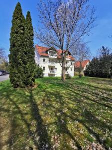 een wit huis met een boom in de tuin bij Pension Leipzig Ost in Borsdorf