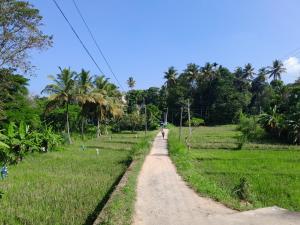 a dirt road through a field with palm trees at Villa Kengalle in Kandy +1 photo