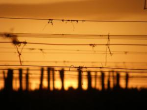 a silhouette of a group of power lines at sunset at Coup 2 Foudres in Saint-Jean-de-Blaignac