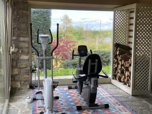 Fitness centrum a/nebo fitness zařízení v ubytování Stanze Degli Aceri