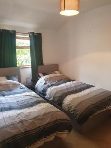 two beds in a bedroom with green curtains and a window at Cilgerran - cosy cottage in Cilgerran