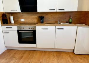 Kuchyň nebo kuchyňský kout v ubytování Fewo Unterm Stein - Rotkäppchen - 3 Schlafzimmer + 12 fotografií